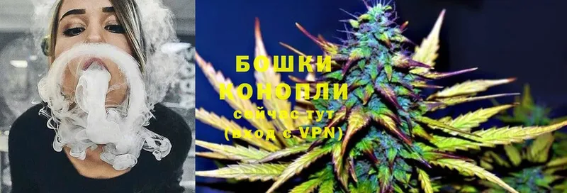 Бошки марихуана SATIVA & INDICA  как найти закладки  Костерёво 